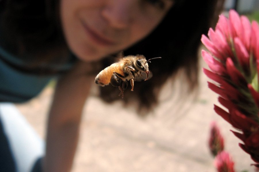 A woman looking at a bee