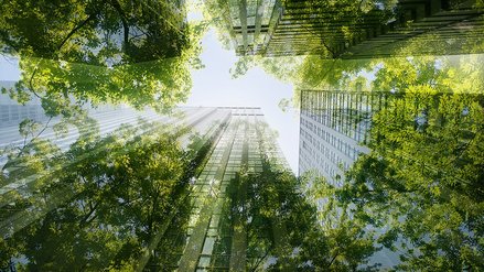 Office building with green trees