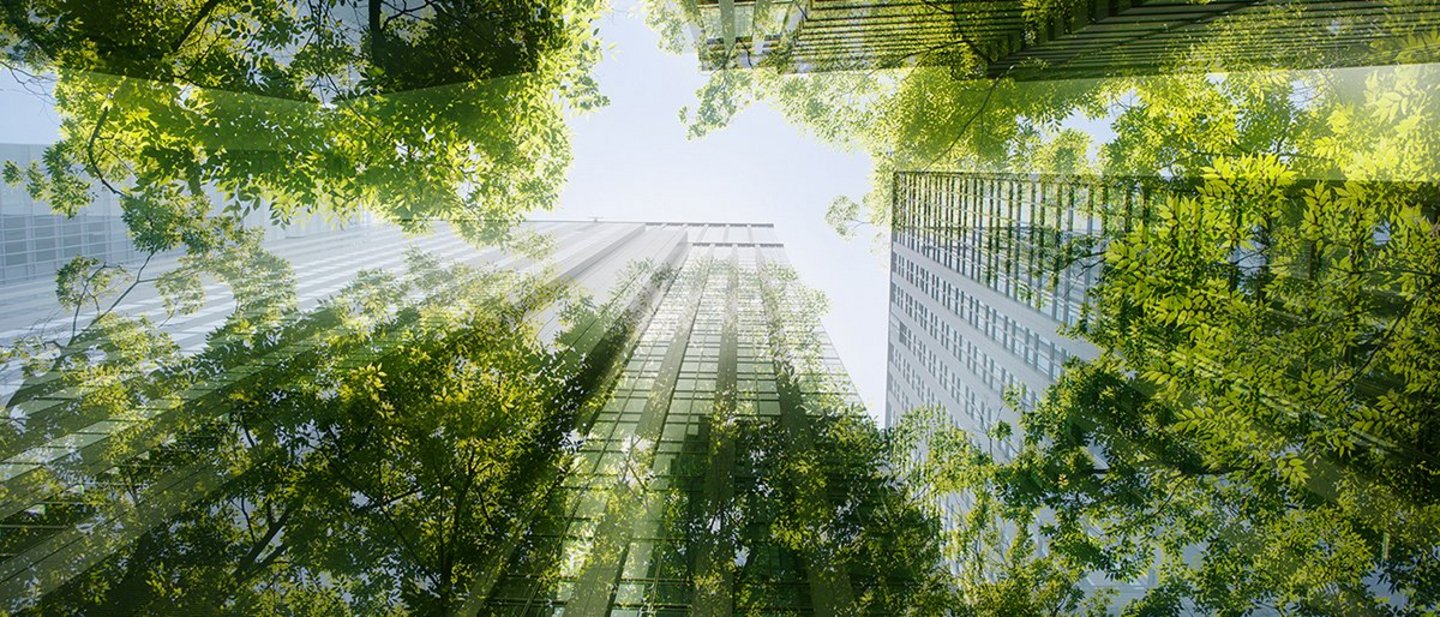 Office building with green trees