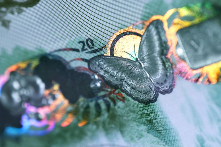 Close-up of a banknote with a butterfly