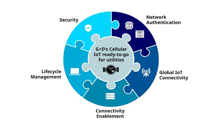 Infographic about cellular IoT