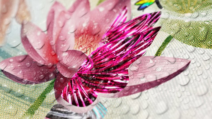Closeup of banknote with lotus flower motive and water drops