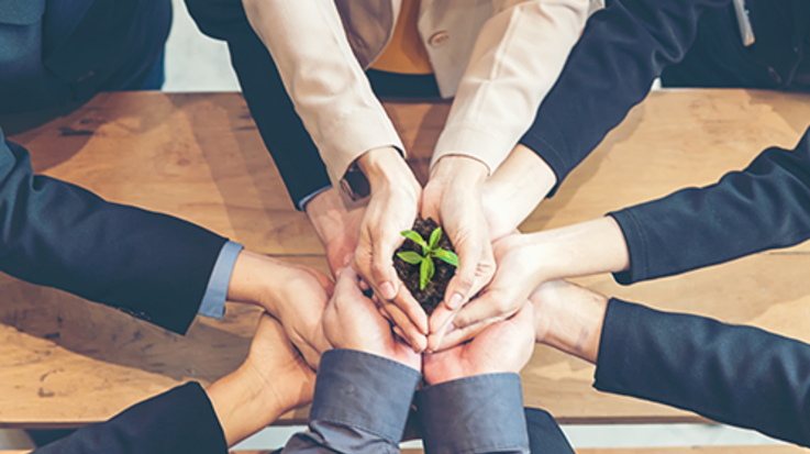 A few people together hold a small plant pot